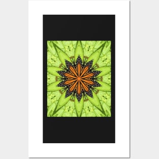 Unique Kaleidoscope Monarch Butterfly on Flower Posters and Art